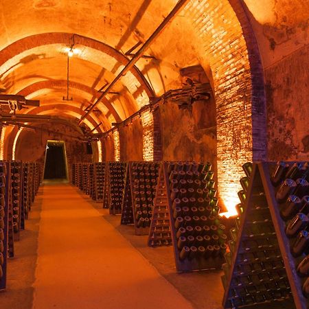 Champagne Central - Exceptionnel 3 Chambres Реймс Екстериор снимка